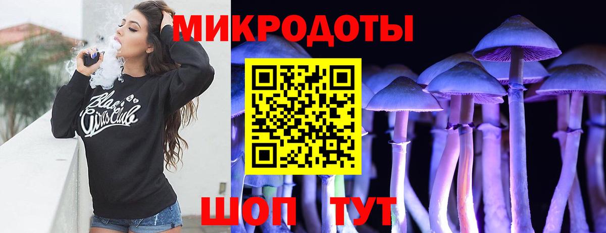 Псилоцибиновые грибы Cubensis Гудермес