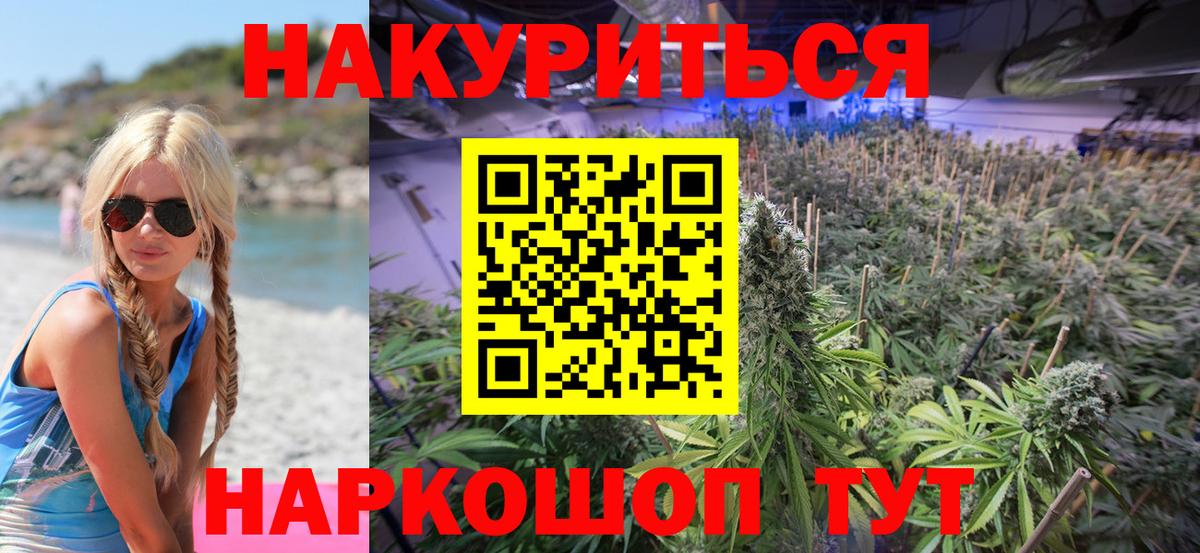 Каннабис индика Гудермес